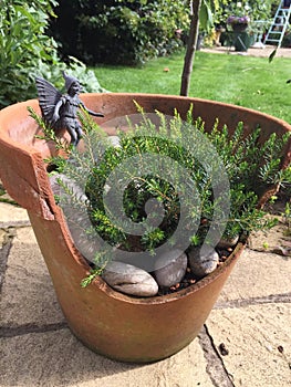 Garden fairy in broken plant pot display