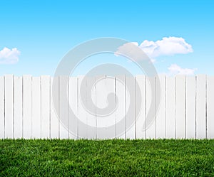 Garden fence