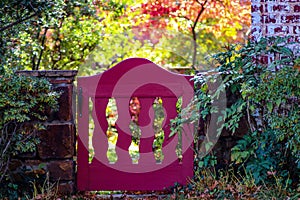 Garden fence in autumn - decrative magenta fence in rock wall surrounded with foliage and fall trees in background