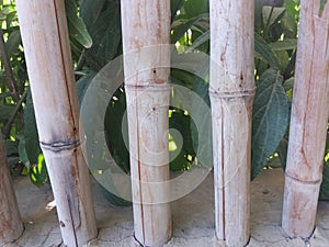 garden fence Made Of Bamboo to protect plants