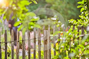 Garden fence summer background