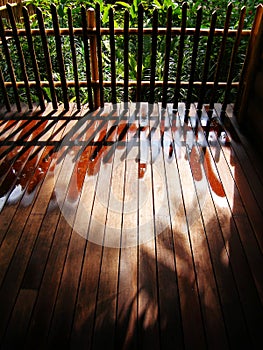 Garden fencing and shadows