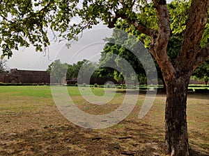 Garden in The Feroz Shah Kotla or Kotla was a fortress built by Feroz Shah Tughlaq to house his version of Delhi city called