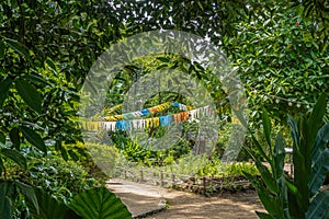 Garden of Finca La Azotea, La Antigua, Guatemala photo