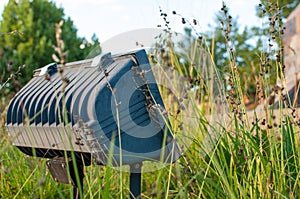 Garden flood light