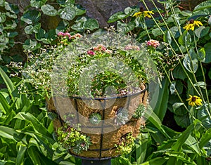 Garden Flower Basket