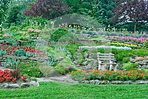 Garden with flowerbeds, plants in a park