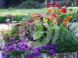 Garden flowers as a street decoration in the Unterwasser settlement