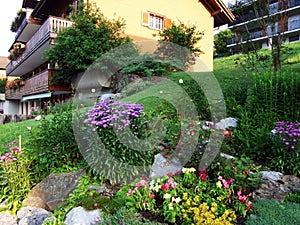 Garden flowers as a street decoration in the Unterwasser settlement