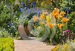 Garden flowers in bloom in english garden