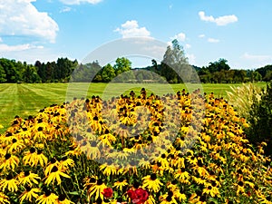 Garden with flowers green grass and full of trees