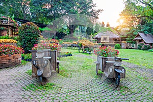 Garden flowers, Mae fah luang garden locate on Doi Tung in thailand.