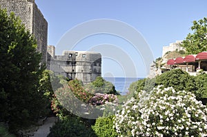 Garden and flowers near Fortress Bokar old town Dubrovnik