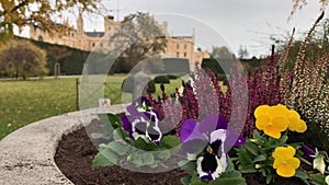 Garden with flowers near Lednice castle in autumn, Czechia