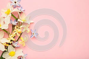 Garden flowers on pink background. Space for text