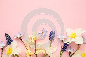 Garden flowers on pink background. Space for text