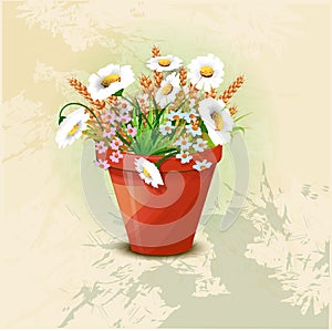 Garden flowers in red pot