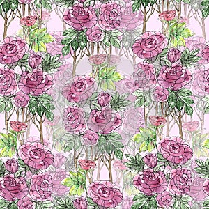 Garden flowers rose painted in watercolor with leaves. Floral illustration.