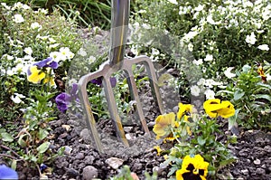 Garden fork inserted into flowerbed