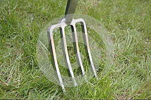 Garden fork inserted into lawn