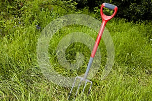 Garden Fork In Long Grass