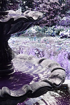 Garden fountain glow - altered photo in purple, white and blue