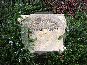 Garden of fragnance