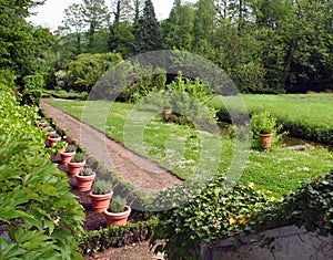 Garden in french park