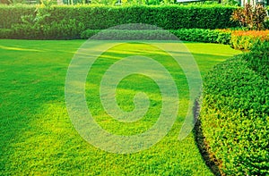 Garden with fresh green grass both shrub and flower front lawn background