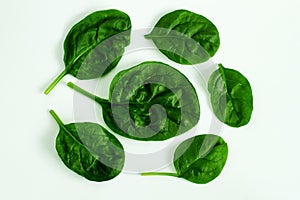 Garden fresh green leafy vegetable spinach leaf also known in india as palak bhaji isolated on white background,copy s