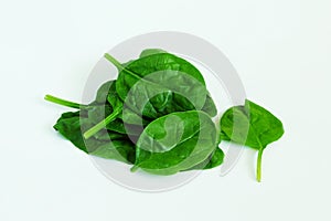 Garden fresh green leafy vegetable spinach leaf also known in india as palak bhaji isolated on white background,copy s