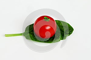 Garden fresh green leafy vegetable spinach leaf also known in india as palak bhaji with tomato isolated on white background,copy s