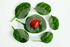 Garden fresh green leafy vegetable spinach leaf also known in india as palak bhaji with tomato isolated on white background,copy s