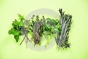 Garden fresh herbs collection