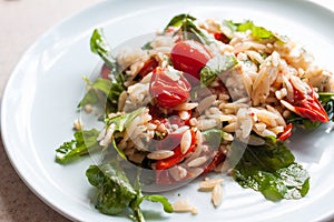 Garden fresh tomato and orzo salad