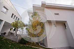 Garden in front of modern white house