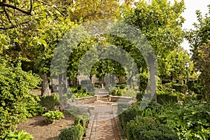Garden with fruit and palm trees, cobblestone walking paths. Gardens at the Alcazar de los Reyes Cristianos in Cordoba