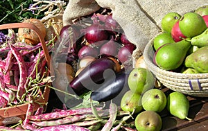 Garden fruit and vegtables