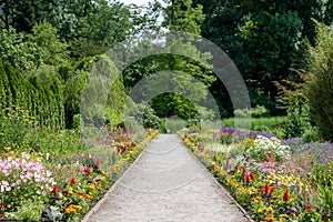 Garden full of flowers at the Botanic Garden of the Jagiellonian University, Krakow, Poland. Photographed in summer.