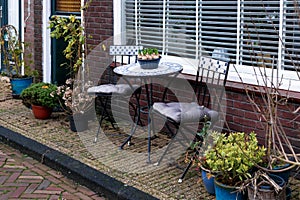 Garden furniture on porch of house with outdoor plants. Home outdoor plants. Landscaping Gardening in city. Geocyint in a pot on