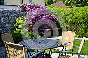Garden with garden table and rhododendron