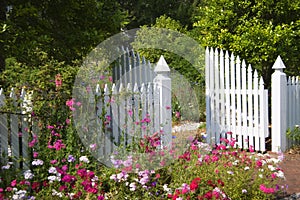 Garden Gate photo