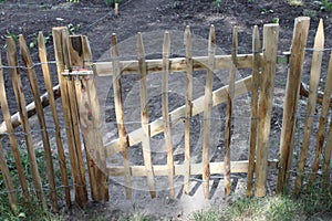 Garden gate in fence