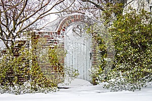 Garden gate in the snow - Wooden with octogan cutout in brick fence with arch and green bushes but bare winter branches behind