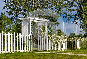 Beautiful white gate in the flowers on a sunny summer day. Garden gate with White Picket Fence