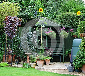 Garden Gazebo, flowerpots and sunflowers