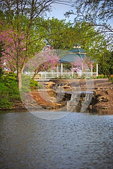 Garden Gazebo photo