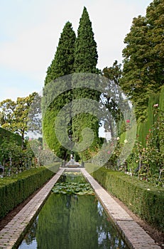 Garden of the Generalife photo