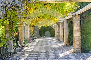 Garden of Generalife, Granada Andalusia province, Spain photo
