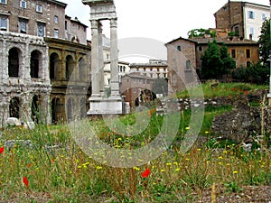 Garden in the Ghetto